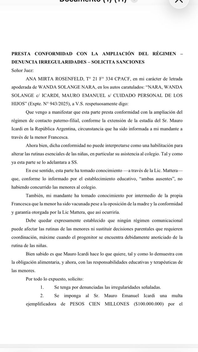 El documento que presentó la abogada Ana Rosenfeld.