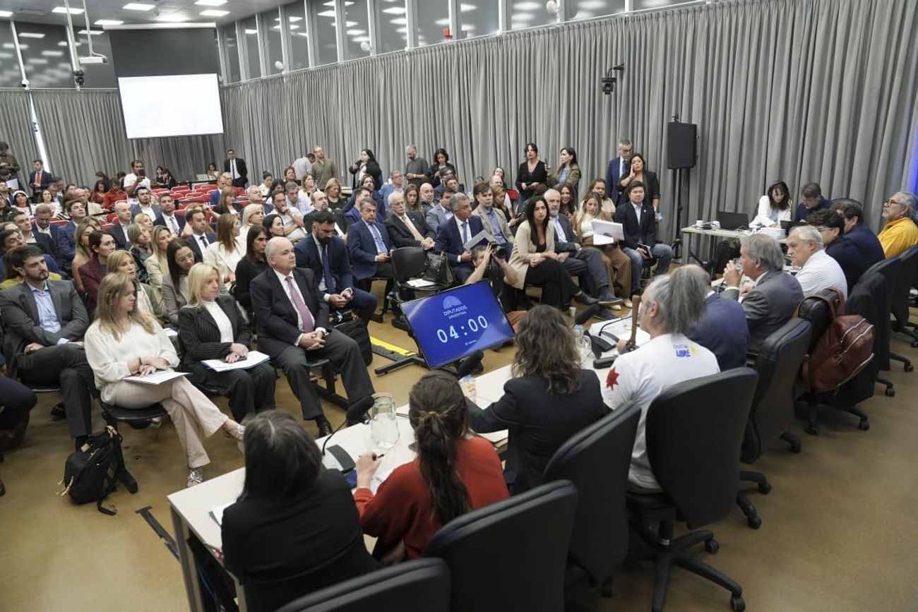 Audiencias públicas por la Ley de Glaciares en la Cámara de Diputados (Foto: HCDN)