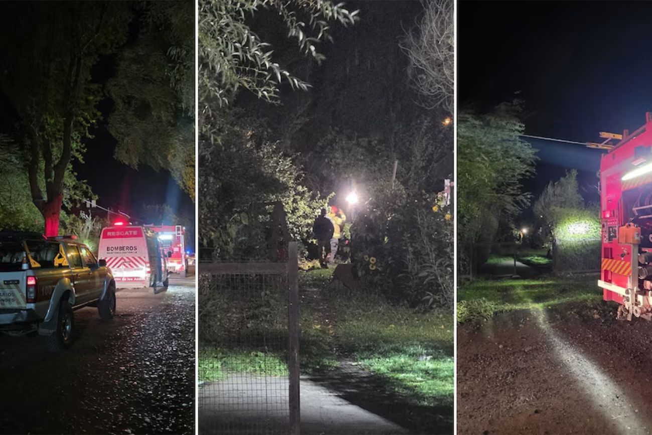 San Martín de los Andes: un álamo de 30 metros cayó sobre una vivienda y sus ocupantes resultaron ilesas