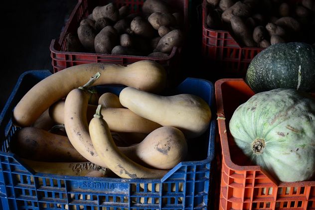 ¿Qué aportes puede hacer la agroecología en el ambiente? ¿Cómo se relaciona la producción de alimentos con la salud en el territorio? 