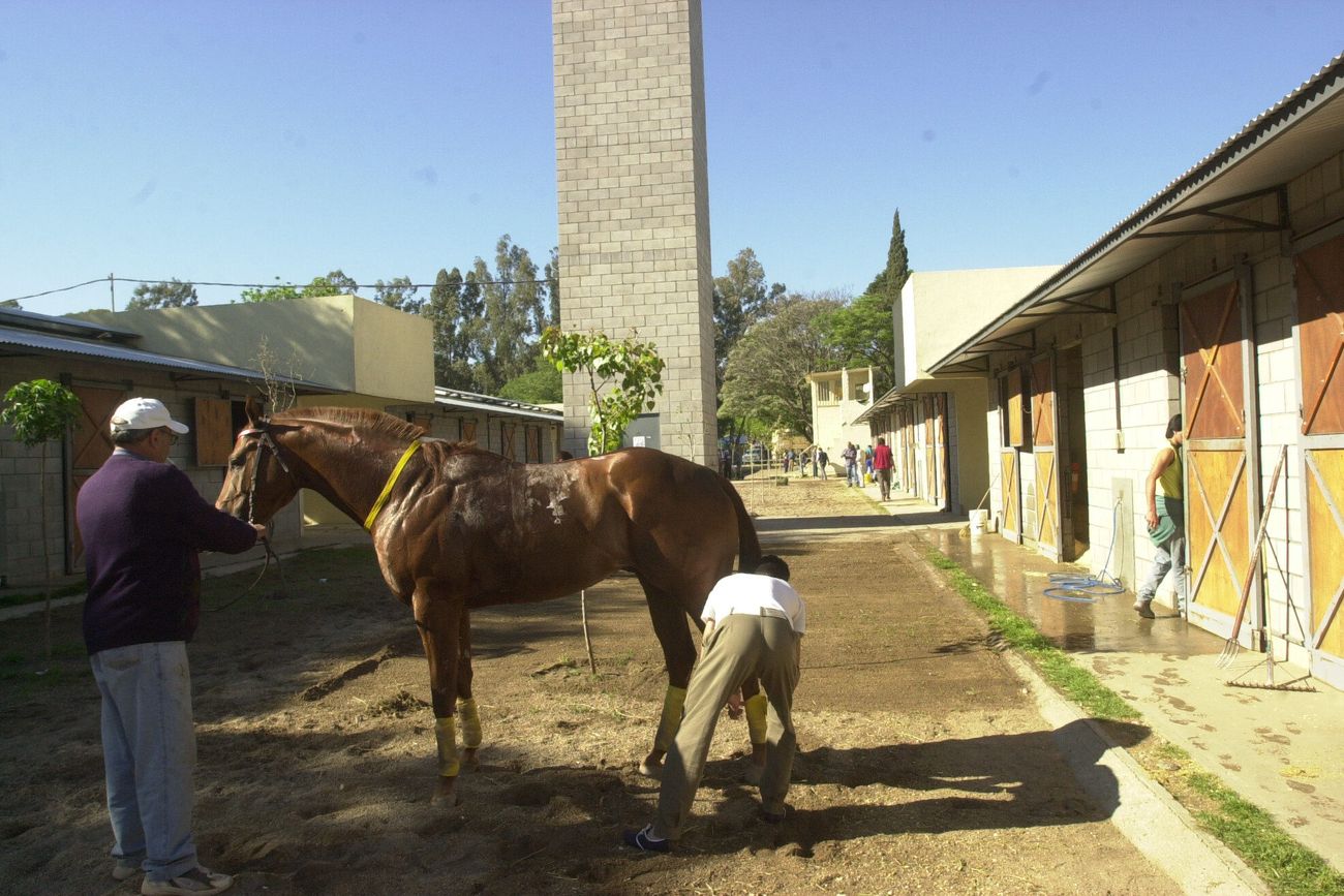Hipódromo del Jockey: protestas ante posible cierre.