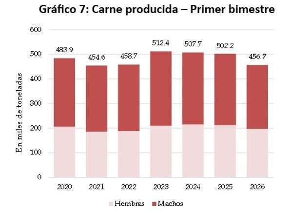 CARNE. Producción Argentina 