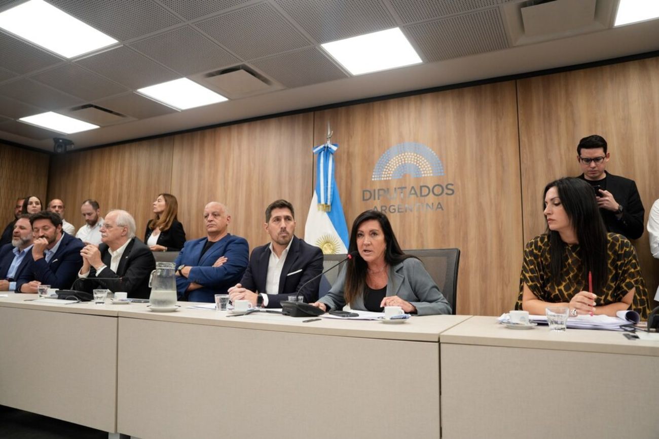 Diputados definió autoridades en comisiones y La Libertad Avanza se quedó con un área clave.