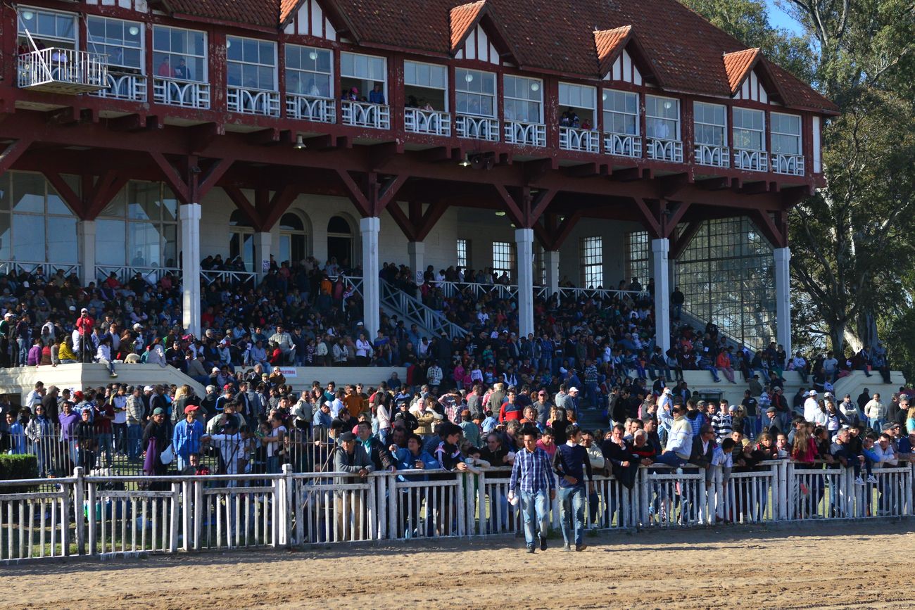 Volverán las carreras de caballos al Jockey Club Córdoba.
