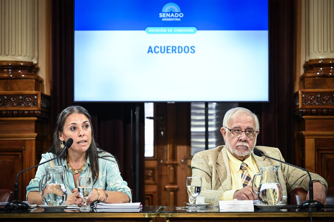 Lucila Crexell, candidata a embajadora en Canadá, en la Comisión de Acuerdos del Senado (Foto: Comunicación Senado)