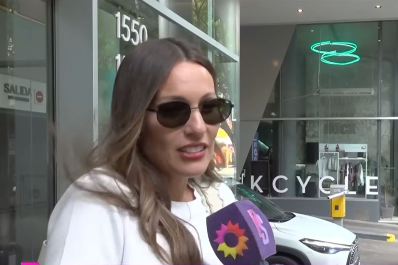 Pampita opinó sobre los dichos de su ex, Roberto García Moritán, frente a las cámaras de "Puro show".