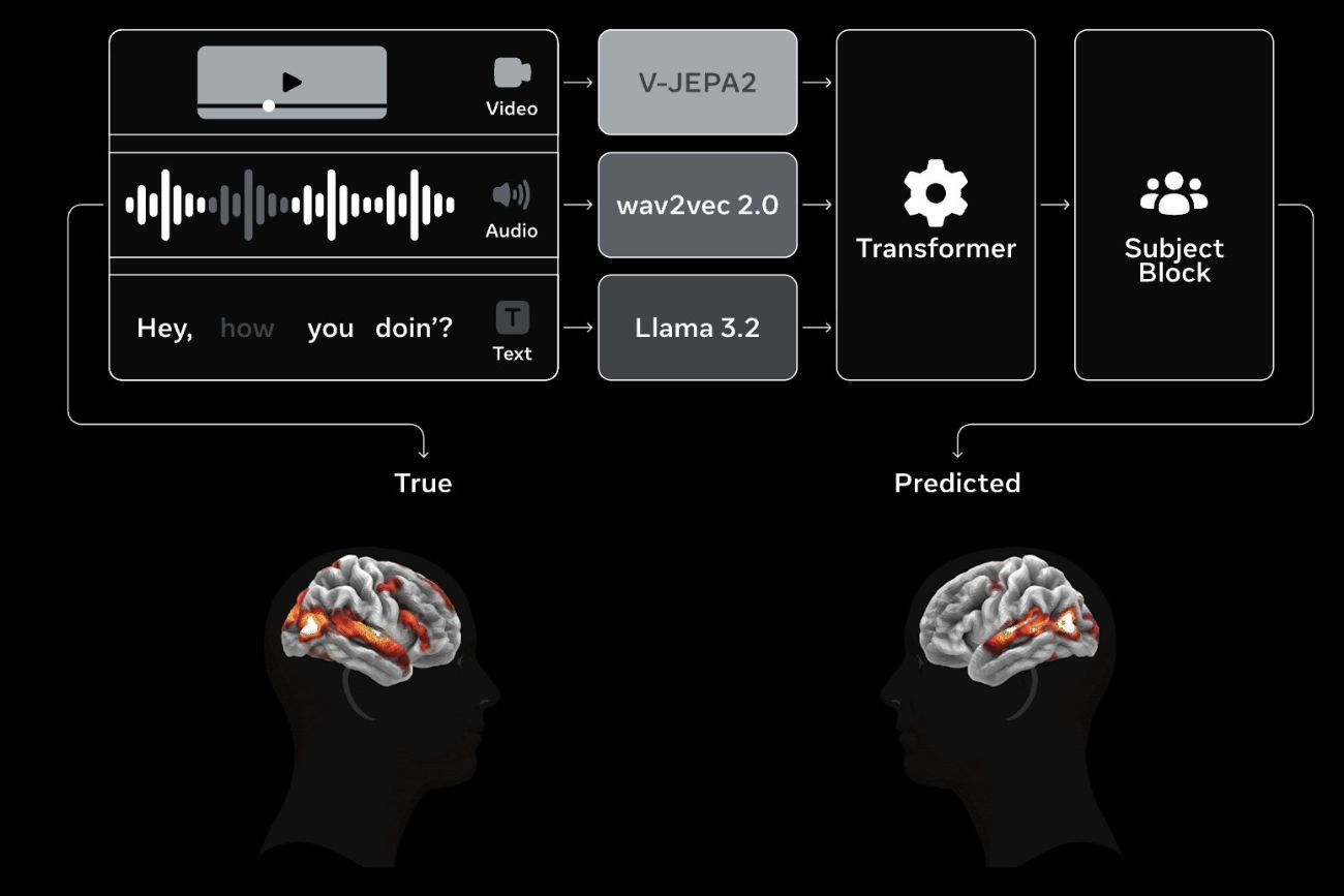 Meta presentó Tribe v2: un modelo de IA que puede predecir la actividad del cerebro. (@Marktechpost)
