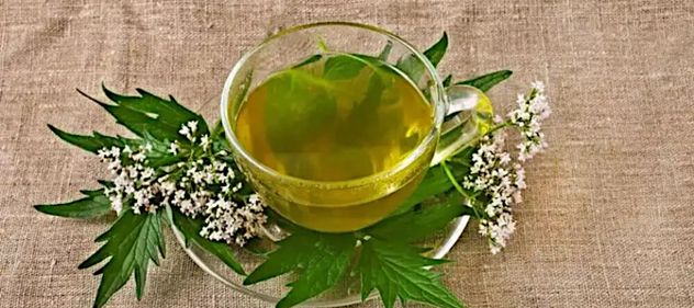 Cuál es el mejor té para bajar la presión y reducir el estrés.