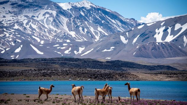 Cuál es el paraíso escondido de Mendoza que sorprende a los turistas.