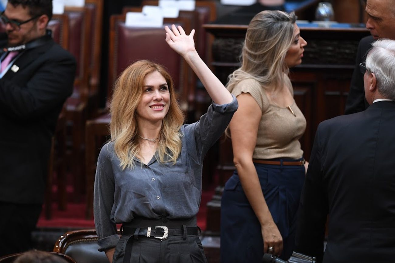 La diputada Lilia Lemoine asumirá como presidenta de la Comisión de Juicio Político (Archivo)