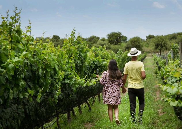 Posada & Bodega La Matilde: el momento ideal para viajar a Traslasierra.
