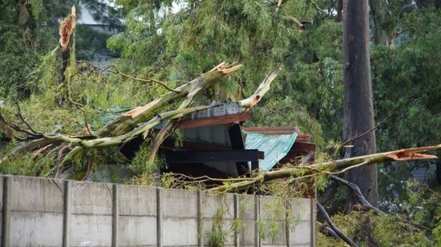 Un tornado provocó destrozos en Bombal, Santa Fe. (El Litoral) 