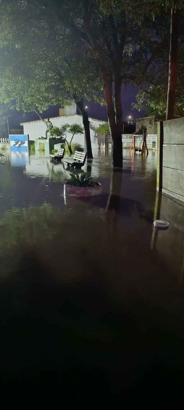 Bomberos, personal municipal y equipos de emergencia trabajan desde la madrugada para asistir a los vecinos afectados en Colonia Marina y restablecer la circulación en sectores complicados por la lluvia.