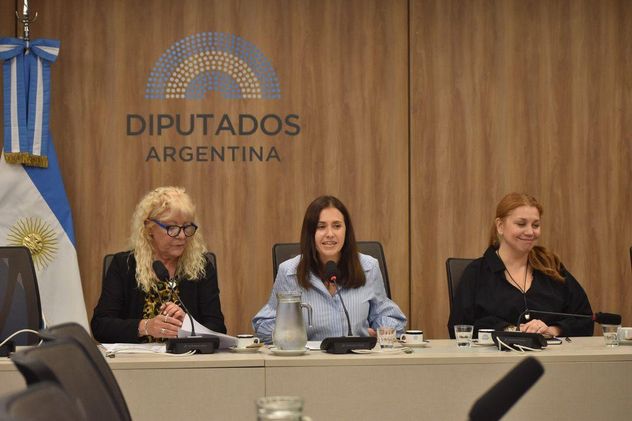 Carolina Basualdo asumió la presidencia de la comisión de Asuntos Municipales en Diputados.
