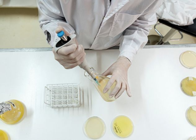 TECNOLOGÍA. Los bioinsumos crecen de la mano de la investigación. Con un mercado creciente. El gran desafío es incorporarlos a la agricultura, a través del conocimiento y la capacitación.