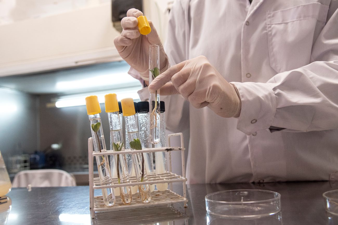 Universidad Nacional de Río Cuarto: 40 tesistas carecen de recursos para terminar de investigar