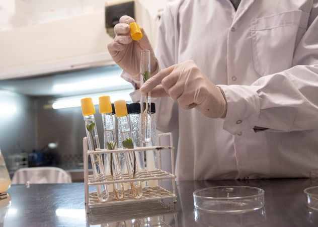 TECNOLOGÍA. Los bioinsumos crecen de la mano de la investigación. Con un mercado creciente, el gran desafío es incorporarlos a la agricultura, a través del conocimiento y la capacitación.