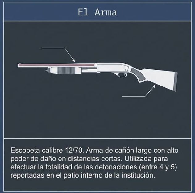 Detalles de la causa: tiroteo en colegio de Santa Fe.