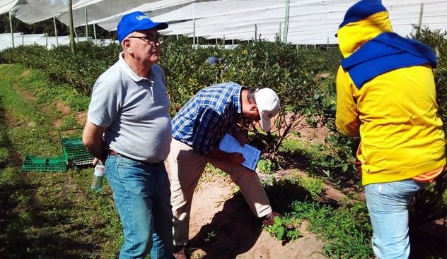 Cuánto cobran rurales y pasteleros tras las paritarias 2026.