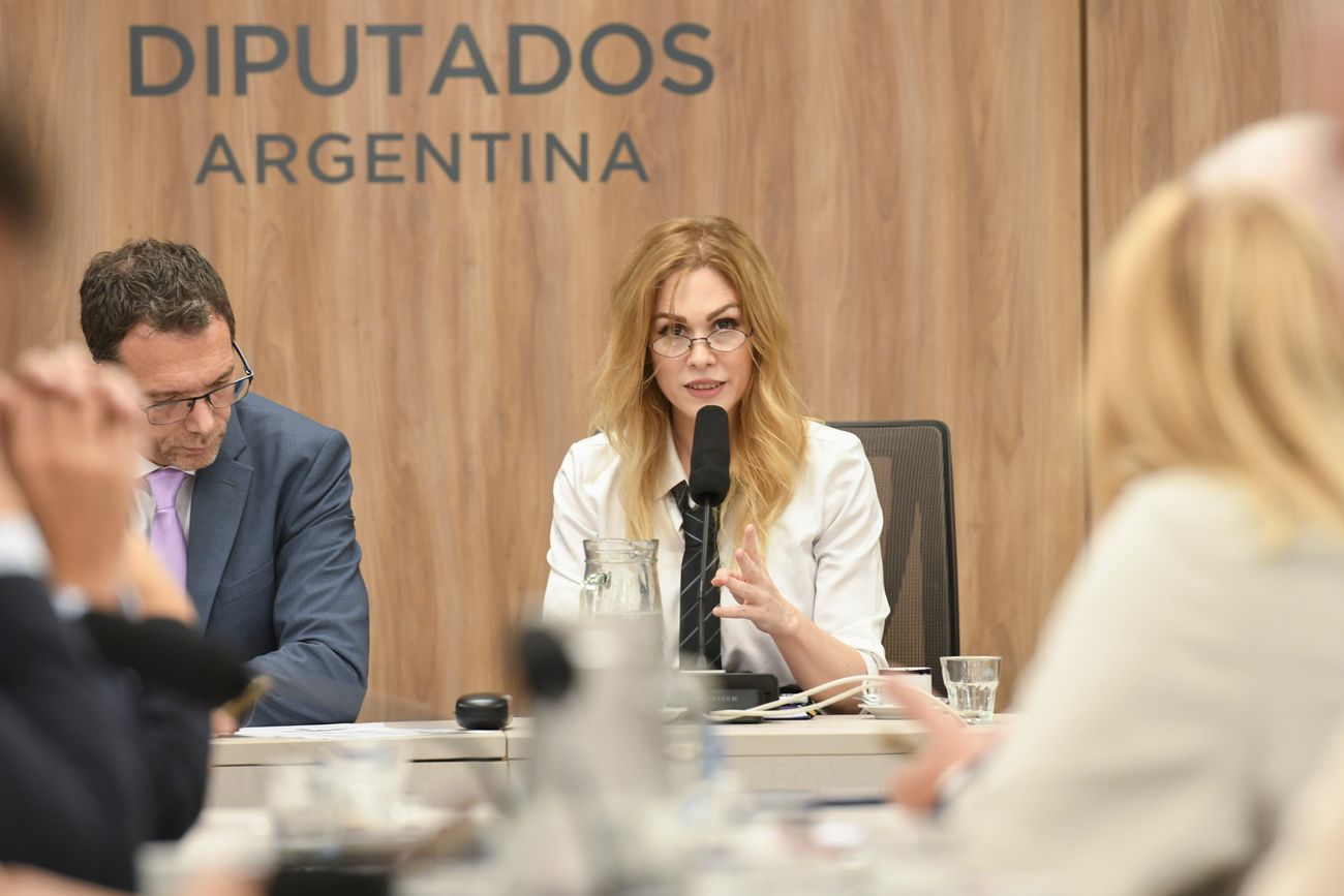 Se constituyó la Comisión de Juicio Político de la Cámara de Diputados (Foto: HCDN)