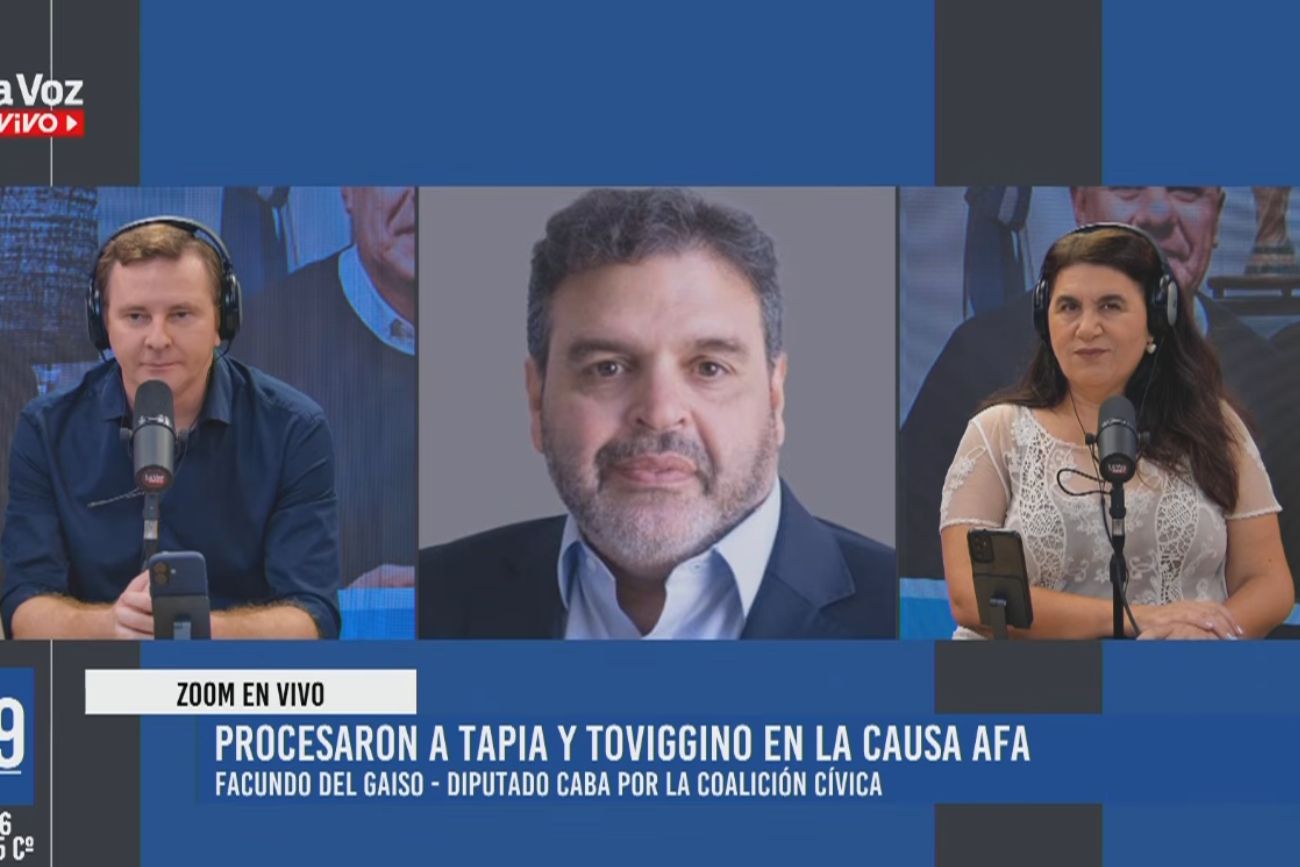 El diputado Facundo Gaiso.