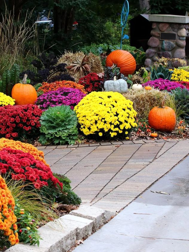 Cómo regar en otoño: errores comunes que dañan tus plantas.