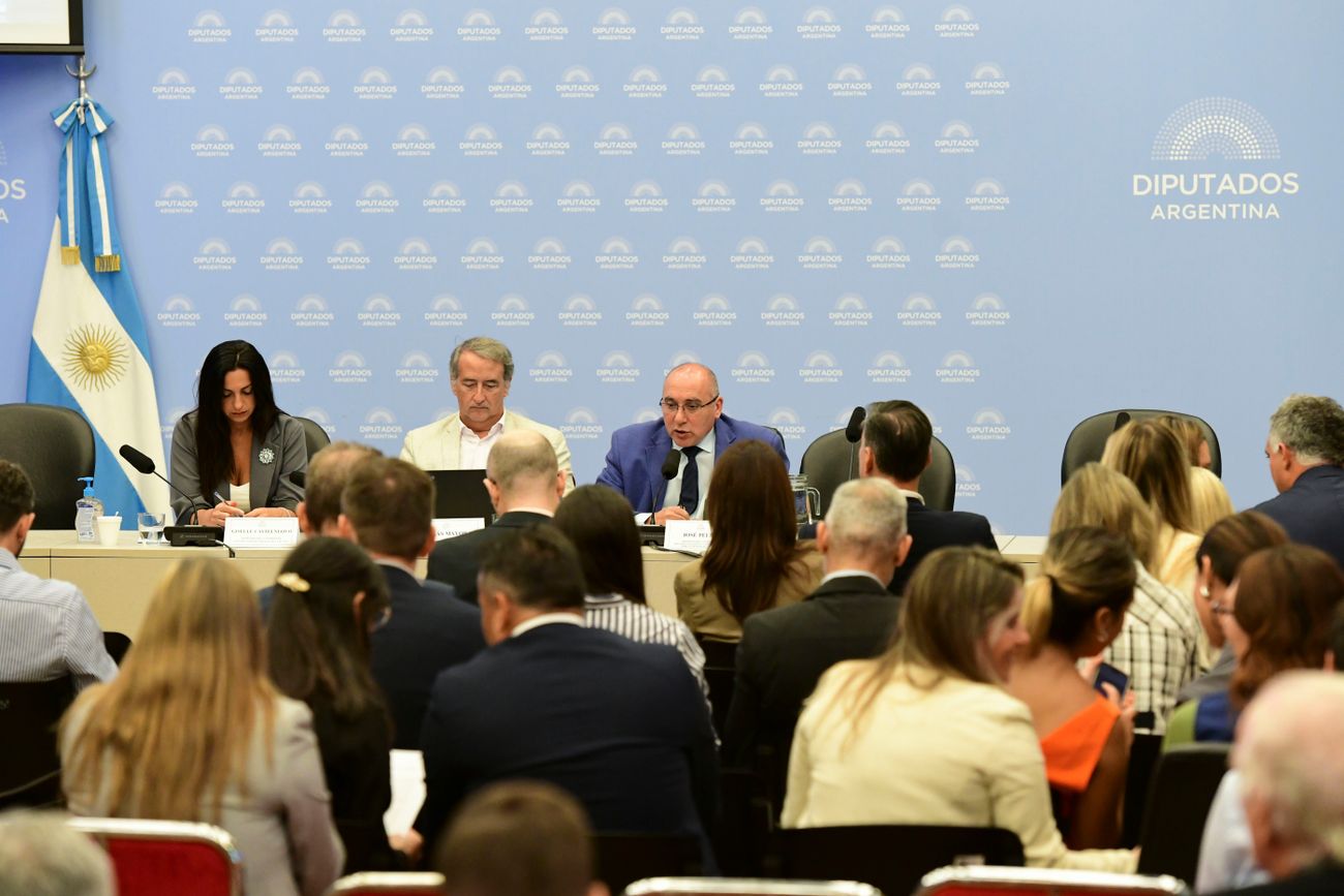 Audiencia pública por la Ley de Glaciares (Foto: HCDN)