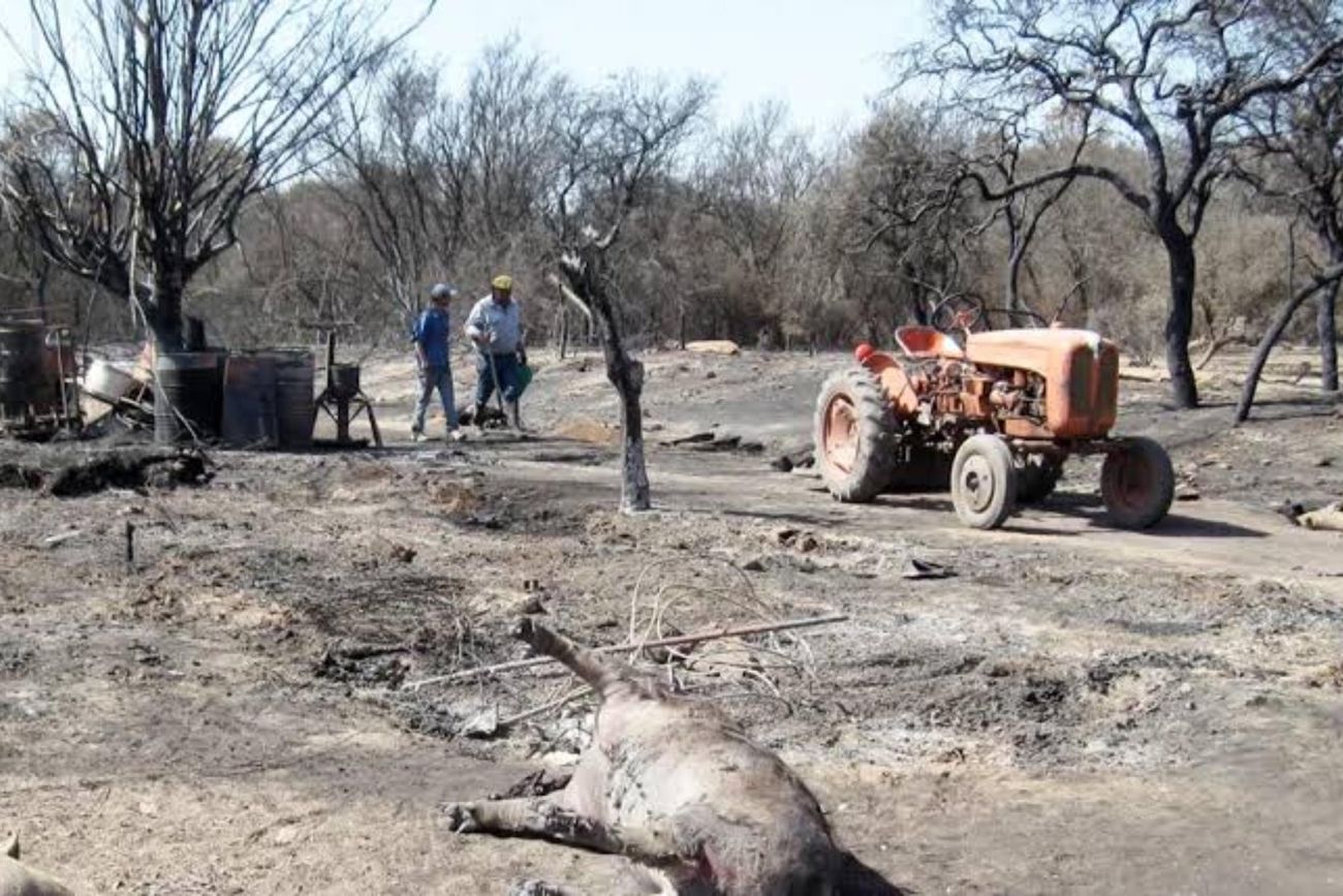 El incendio de hace 15 años que afectó a varios campos vecinos de Colonia Caroya. 