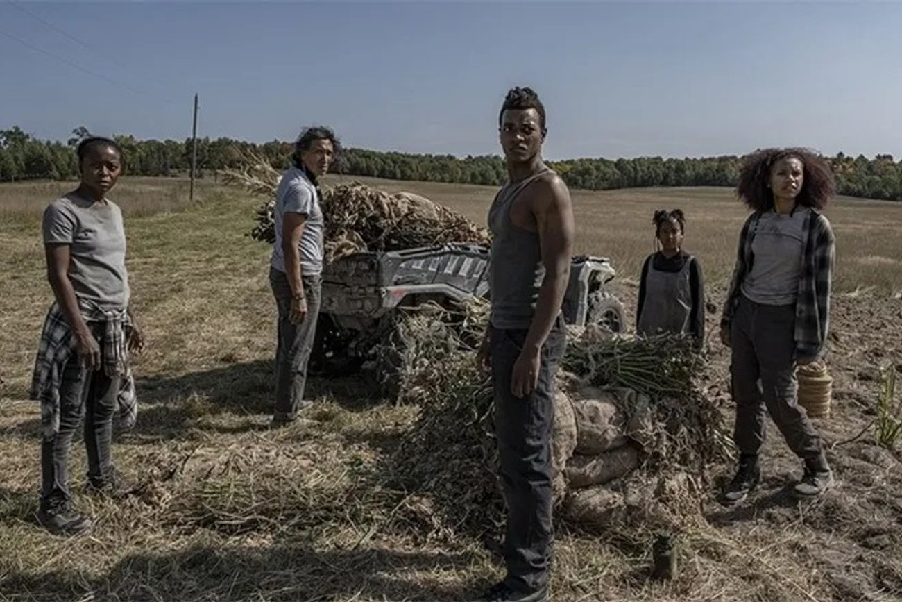 Qué ver este fin de semana: el éxito de Netflix que sorprende.
