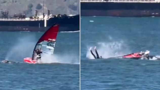 Eric Kramer practicaba windsurf, impactó contra una ballena y voló por los aires.