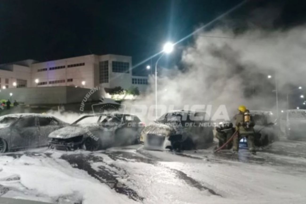 Neuquén: incendiaron seis autos de alta gama frente a la Legislatura