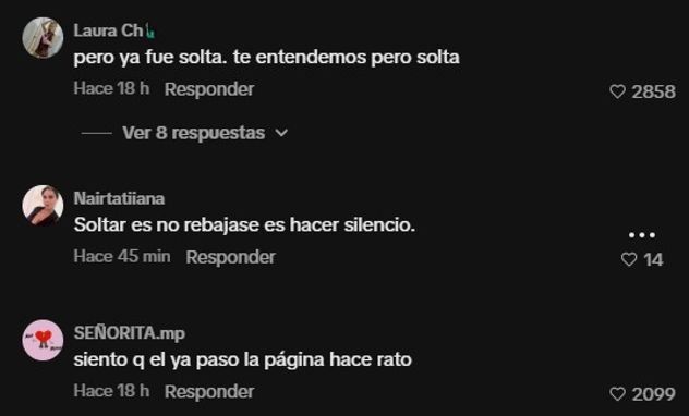Comentarios de los usuarios en el descargo de Zoe Bogach.
