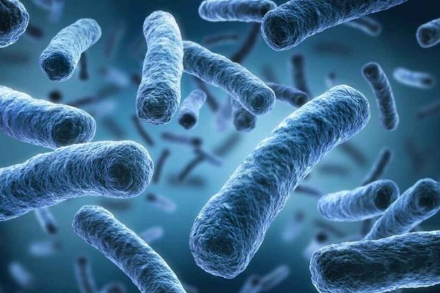 Los jabones, las toallitas, los aerosoles y otros productos antibacterianos de uso diario contribuyen silenciosamente al aumento global de la resistencia a los antimicrobianos.