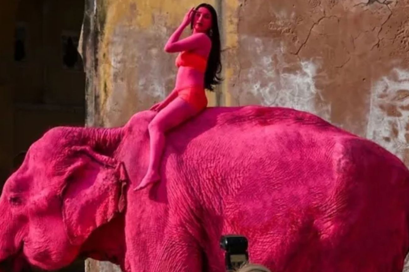 Polémica en India: pintaron de rosa a una elefanta para una sesión de fotos y murió
