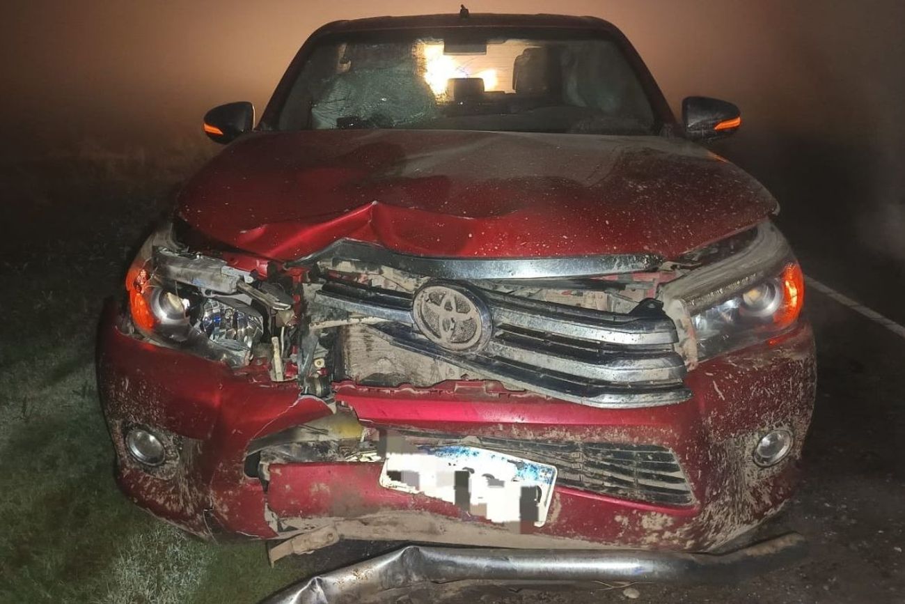 Tragedia en Ruta Provincial 10: una joven murió tras ser embestida por una camioneta