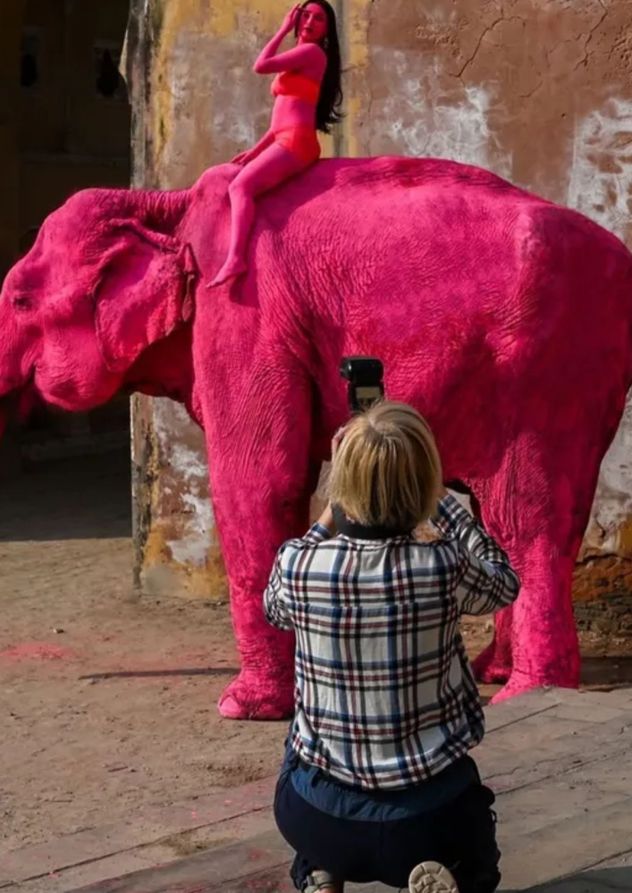 Polémica en India: pintaron de rosa a una elefanta para una sesión de fotos y murió