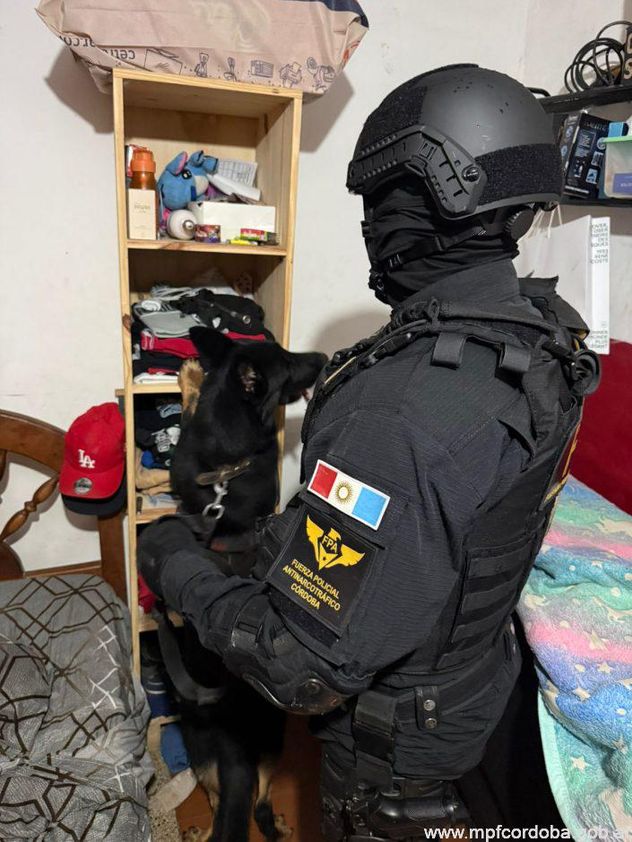 La perra Hanna halló marihuana en una habitación durante el operativo.