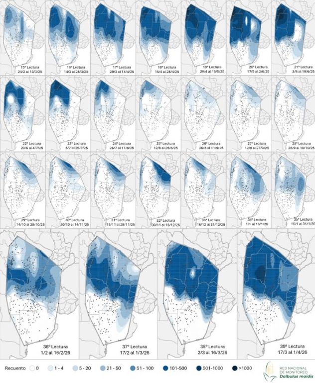 Mapa de calor de la chicharrita capturada desde  el
décimo quinto al trigésimo noveno informe de la Red Nacional de Monitoreo.