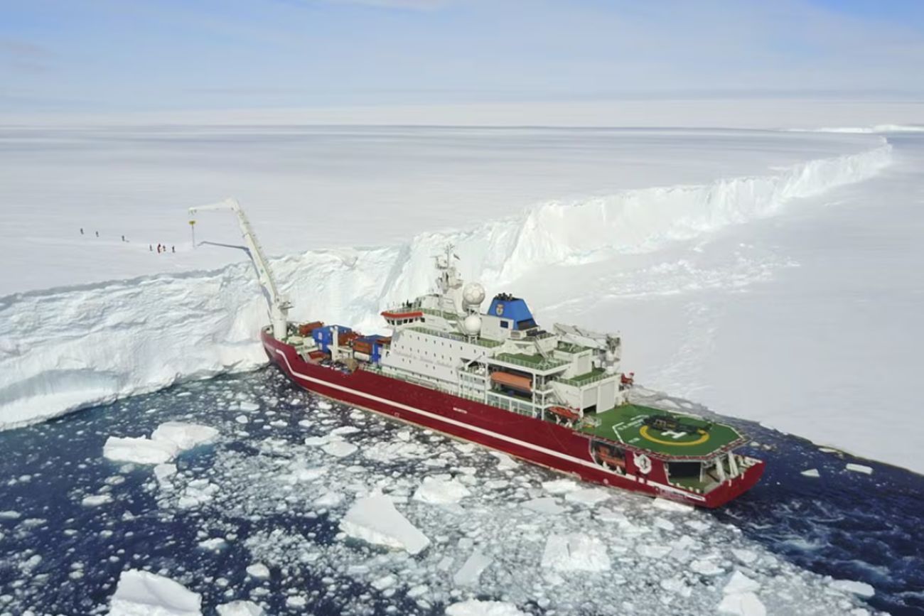 Antártida: buscaban un naufragio y descubrieron un ecosistema oculto bajo el hielo