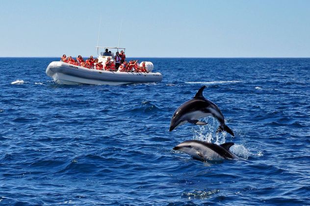 Turismo Puerto Madryn 