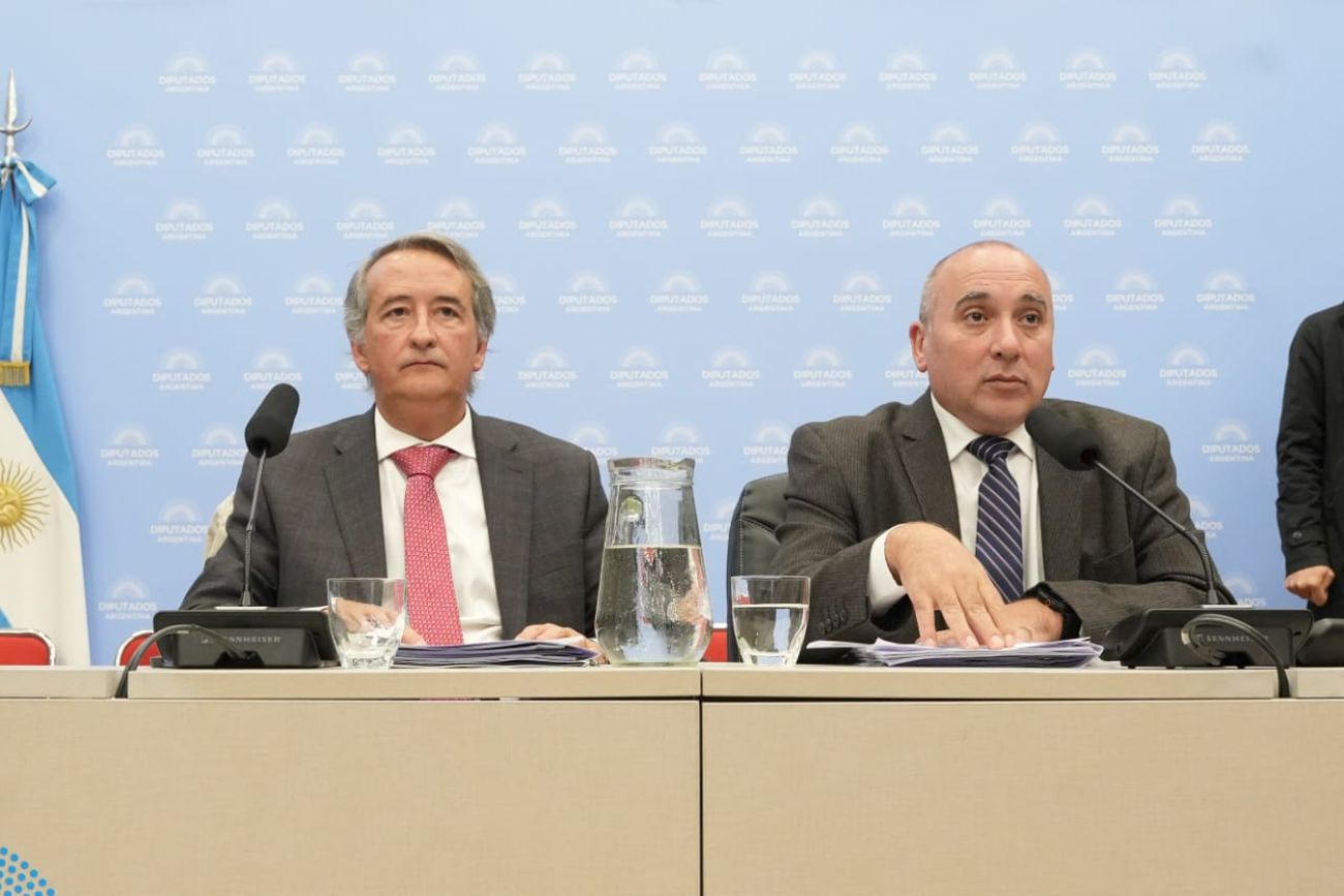 Plenario de comisiones de Recursos Naturales y Asuntos Constitucionales por la Ley de Glaciares