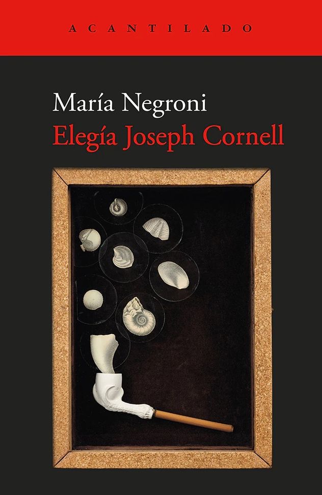 "Elegía Joseph Cornell", obra de María Negroni.
