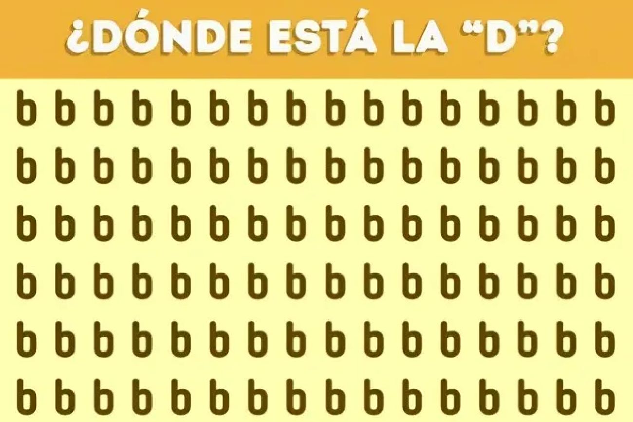 El acertijo visual.