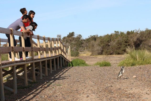 Turismo Puerto Madryn 