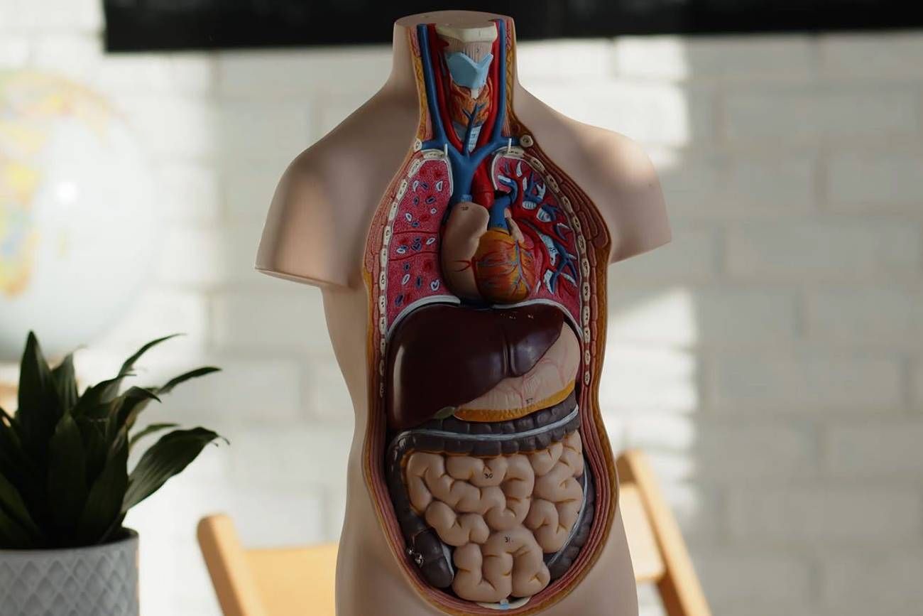 Donación de cuerpos a la ciencia.