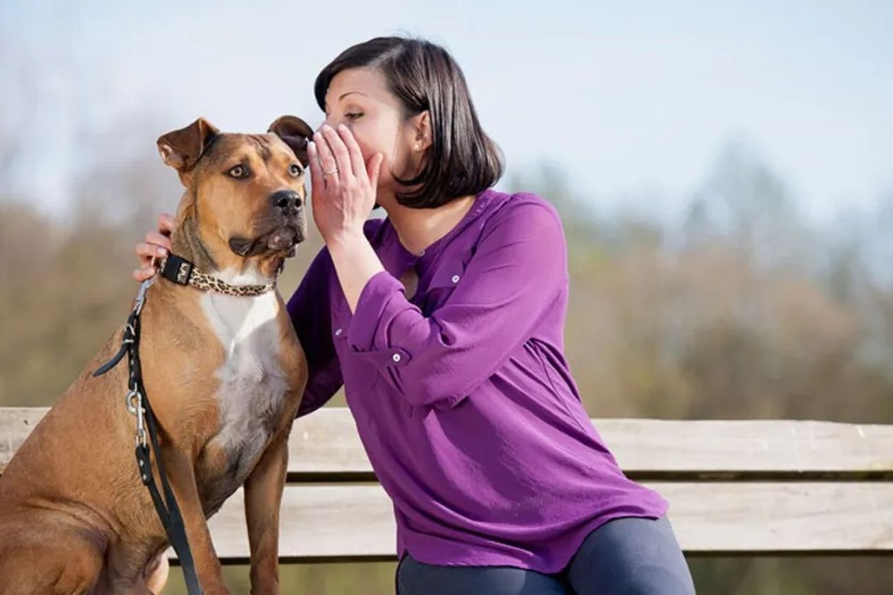 Por qué a los perros les gusta que les hablen como a un bebé.