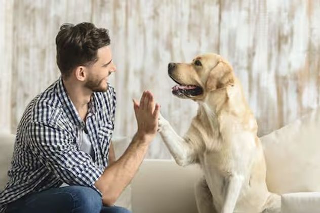 Por qué a los perros les gusta que les hablen como a un bebé.