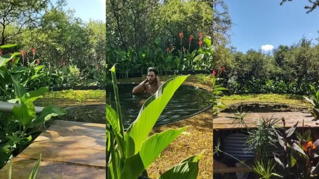 Construida a partir de un tanque australiano reciclado, la biopiscina combina descanso, diseño y equilibrio natural.