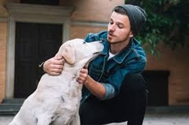 Por qué a los perros les gusta que les hablen como a un bebé.