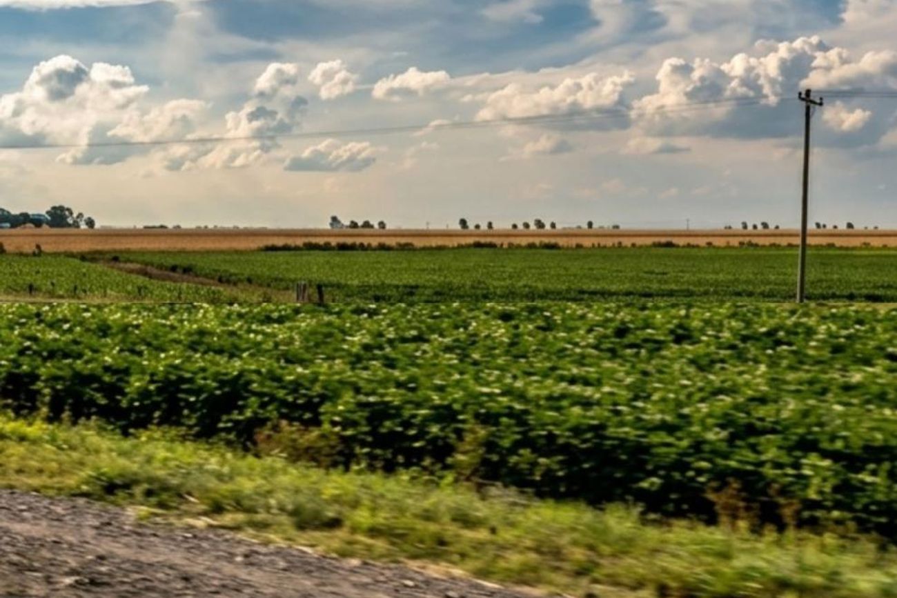 FRANJAS "OCIOSAS". Vialidad Nacional prohibió la exploación productivas de esos espacios en 2008, tras el conflicto con el agro por las retenciones móviles.